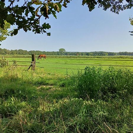 B&B Het Mooie Uitzicht Reuver ภายนอก รูปภาพ