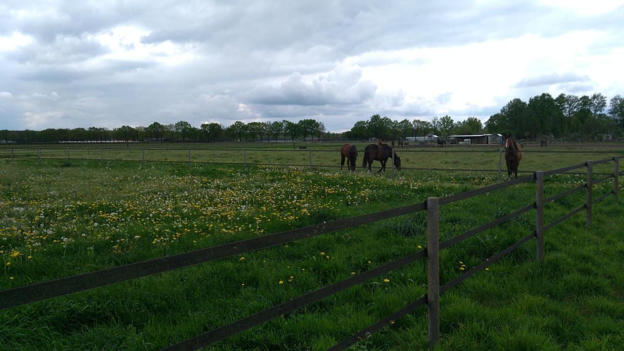 B&B Het Mooie Uitzicht Reuver ภายนอก รูปภาพ
