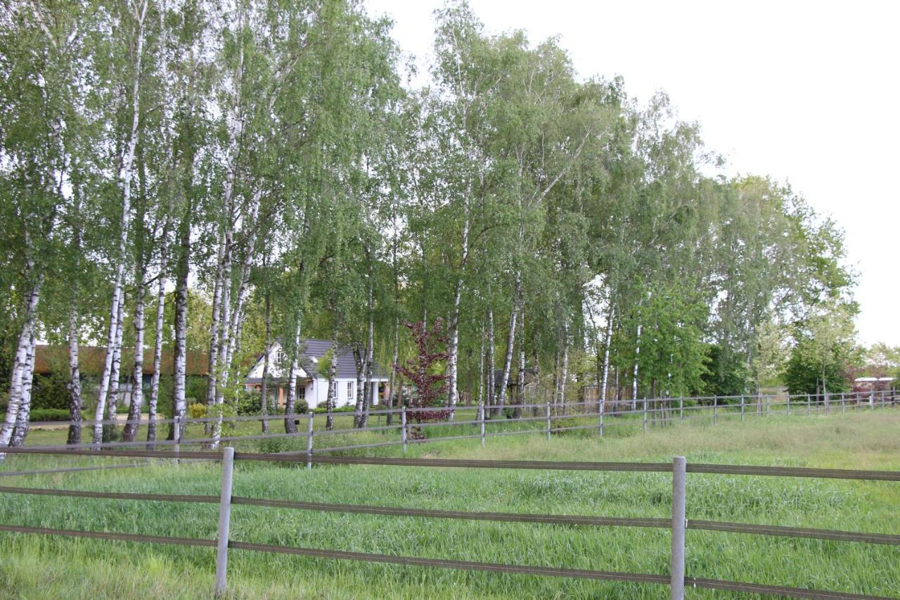 B&B Het Mooie Uitzicht Reuver ภายนอก รูปภาพ