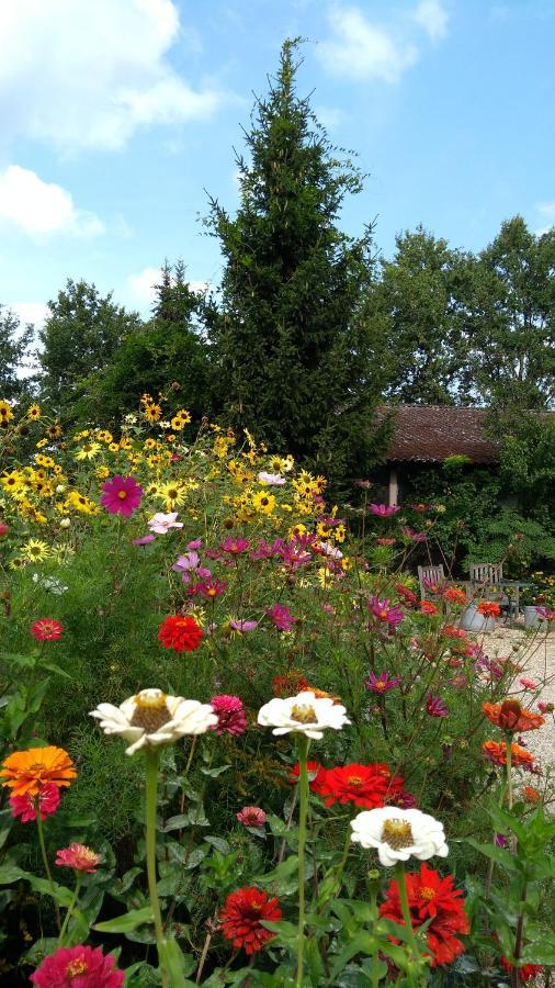 B&B Het Mooie Uitzicht Reuver ภายนอก รูปภาพ