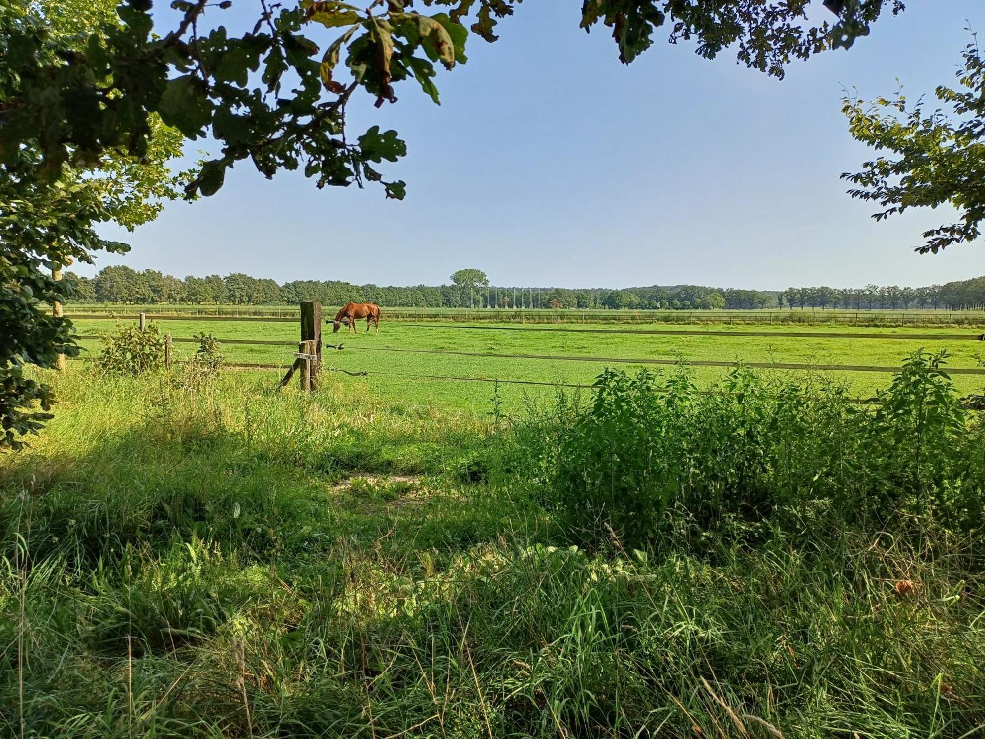 B&B Het Mooie Uitzicht Reuver ภายนอก รูปภาพ