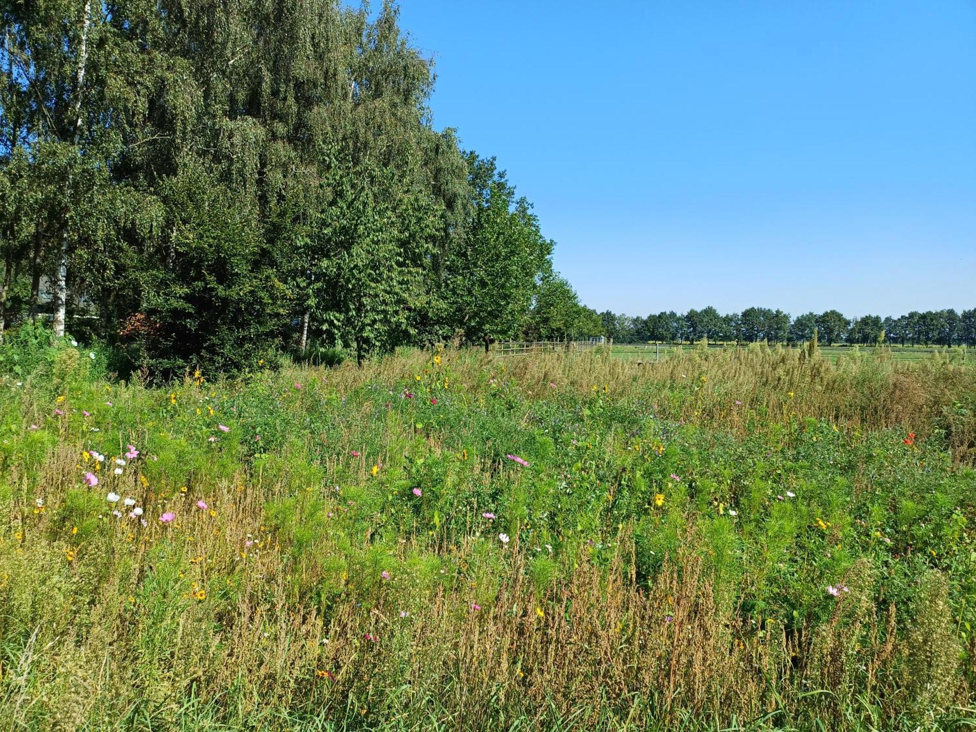 B&B Het Mooie Uitzicht Reuver ภายนอก รูปภาพ